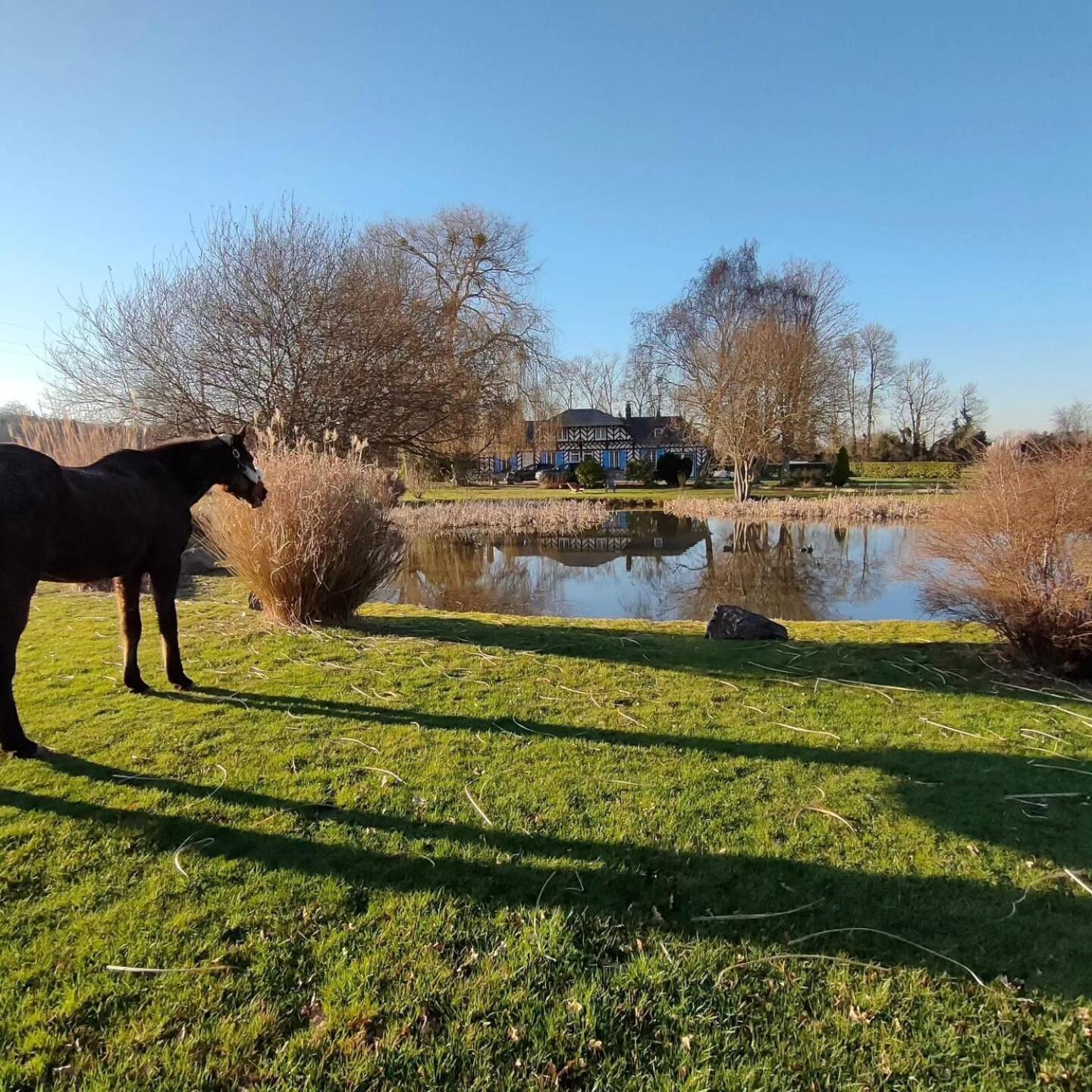 Eden Koi Bed and Breakfast Conteville  Værelse billede